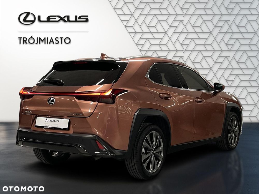 Lexus UX 300h F Sport Design - 8
