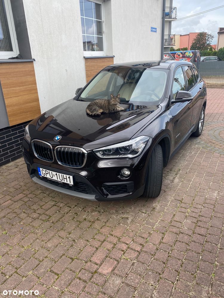 BMW X1 - 1