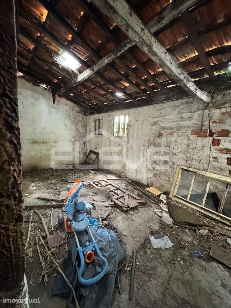 Oportunidade Única em Oliveira do Douro! - Grande imagem: 5/9