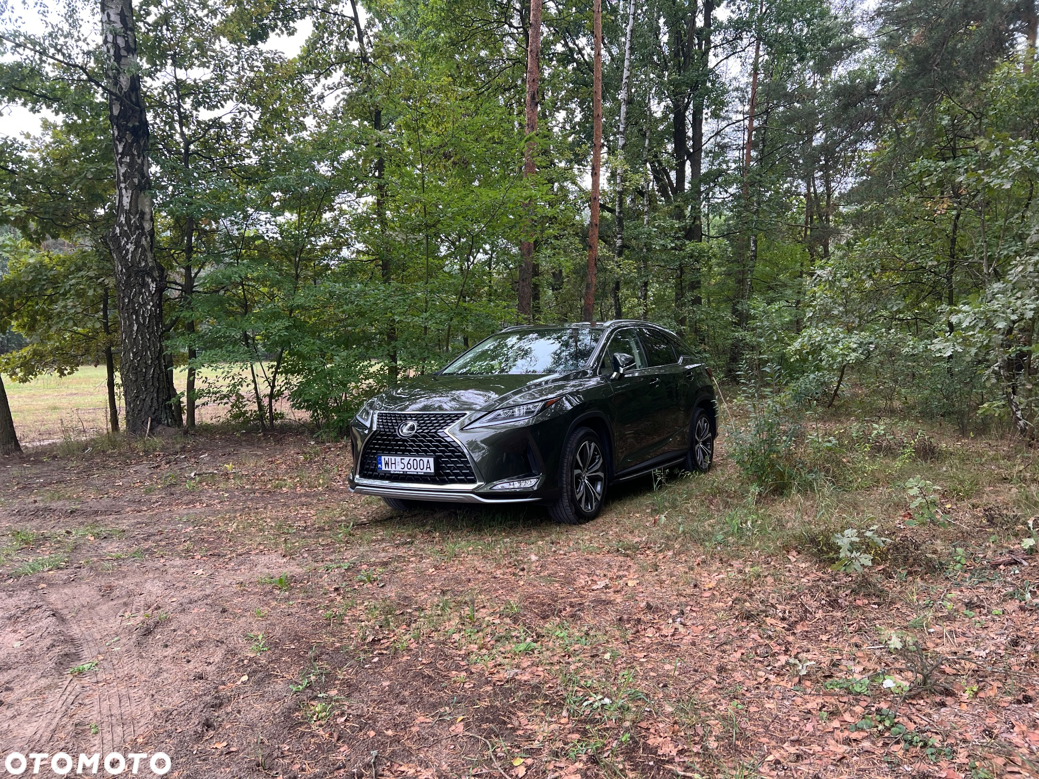 Lexus RX 300 Business Edition + - 26