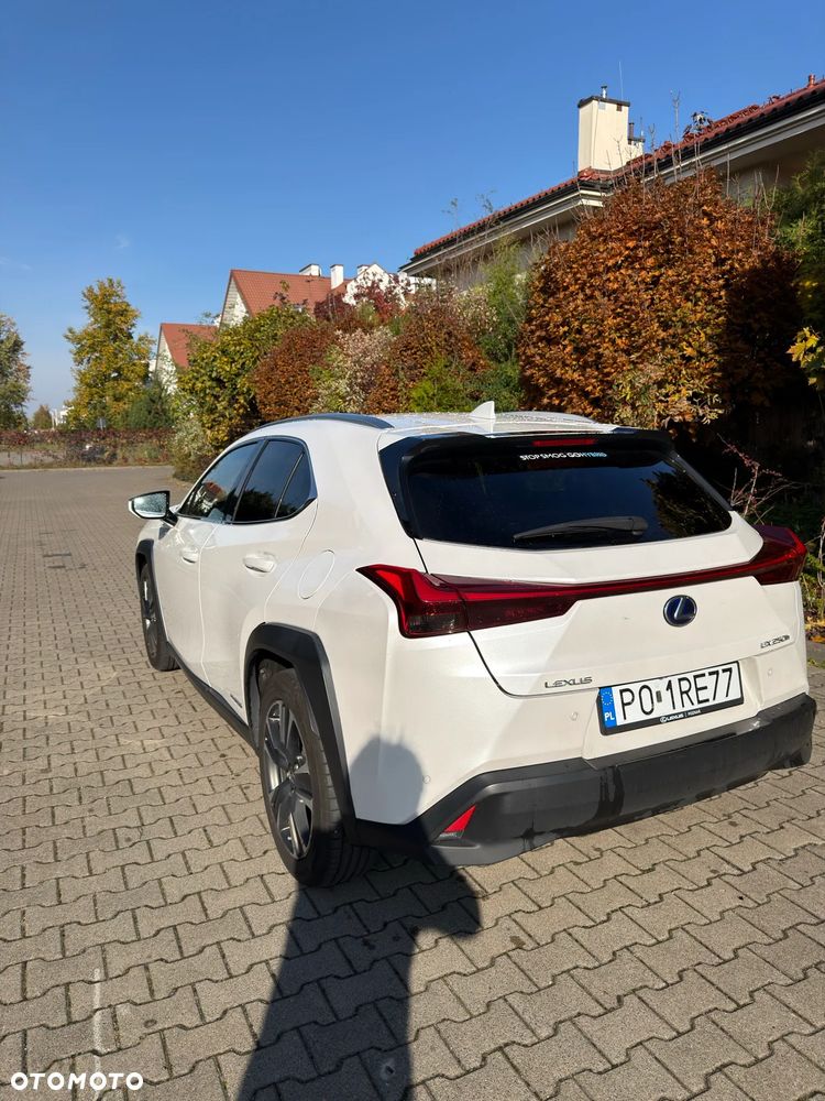 Lexus UX - 15