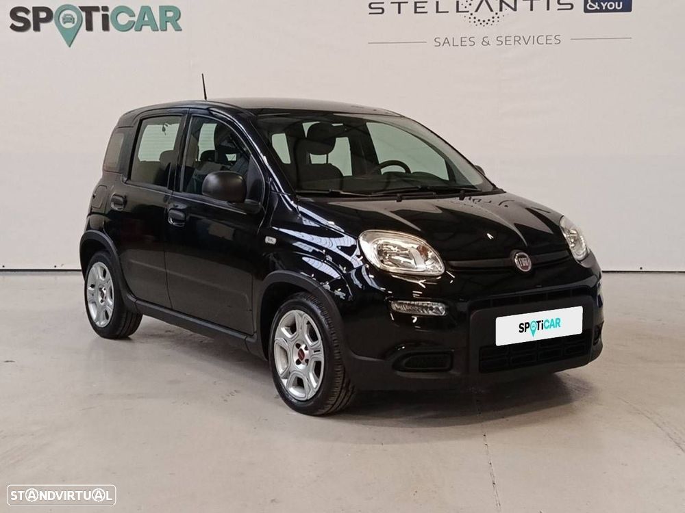 Fiat Panda - 3
