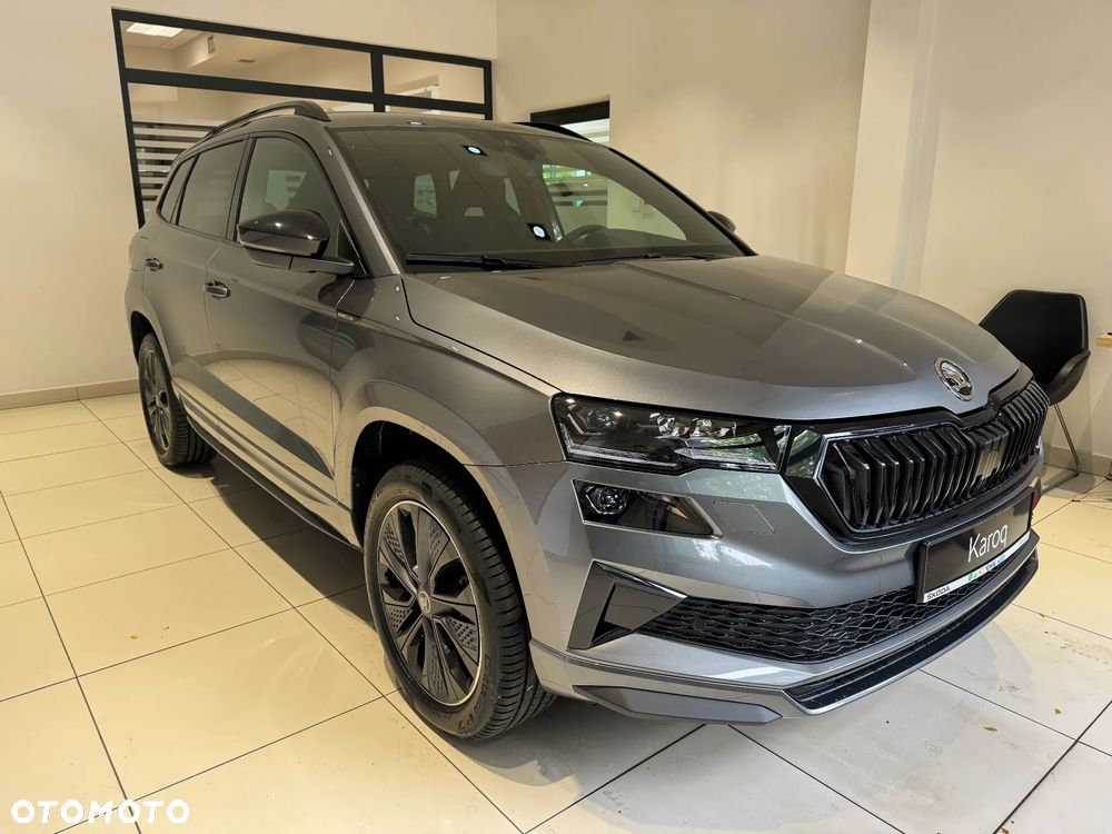 Skoda Karoq - 2