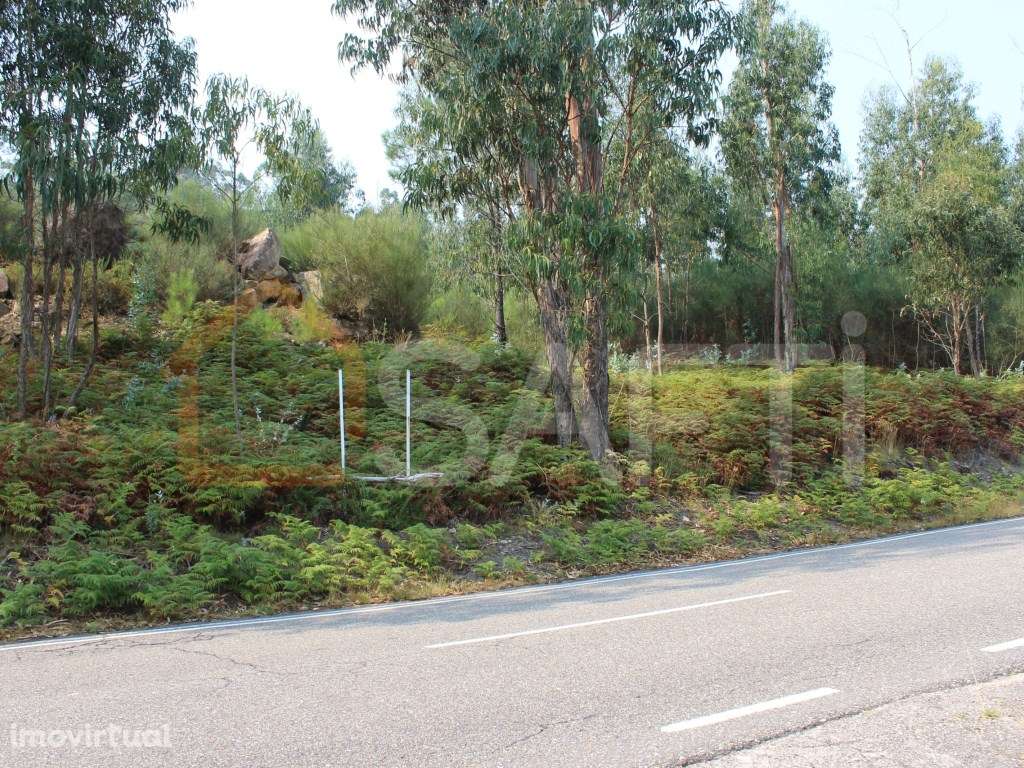 Terreno construtivo com cerca de 6400m2 - Grande imagem: 3/8