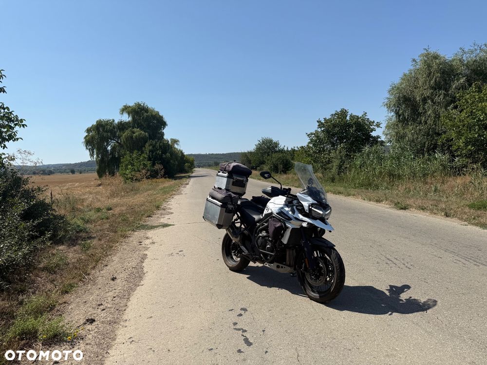 Triumph Tiger - 3