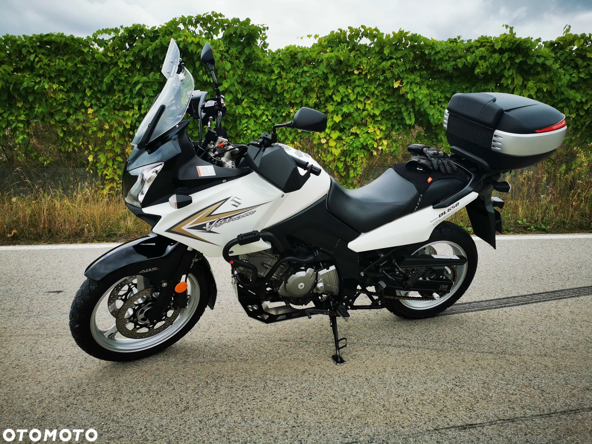 Suzuki DL - 1