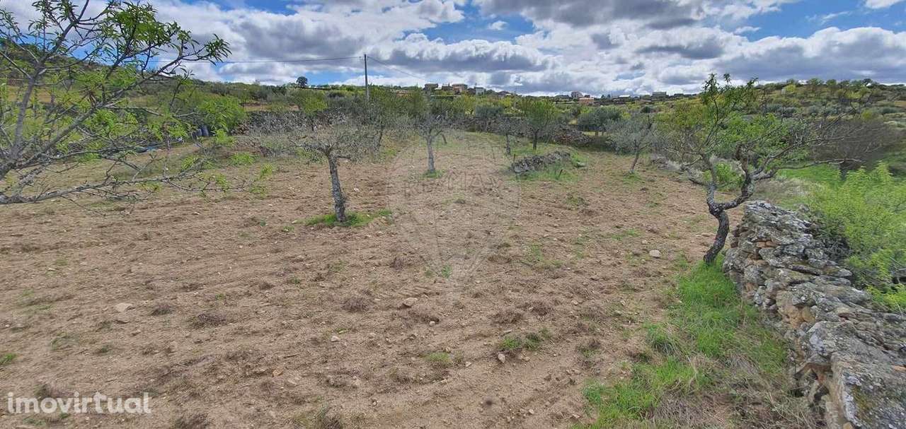 Terreno  para venda - Grande imagem: 5/7