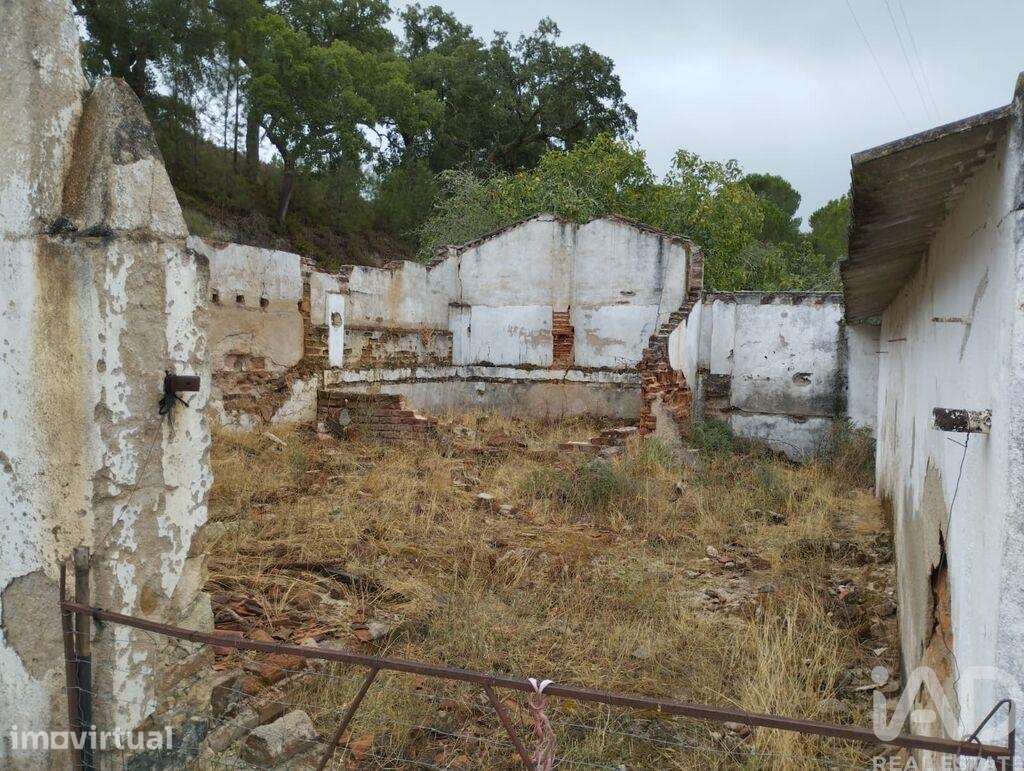 Terreno Agrícola em Galveias - Grande imagem: 2/10