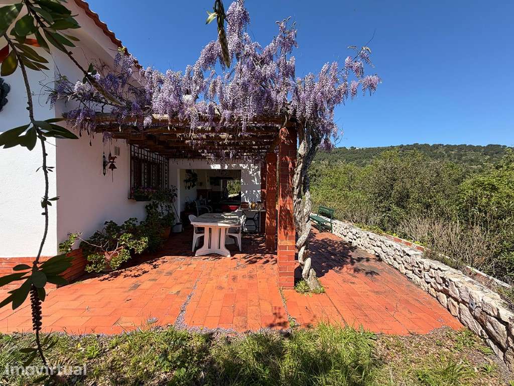 Quinta com 42.500 m² em Palmela e vista sobre a serra - Grande imagem: 5/35