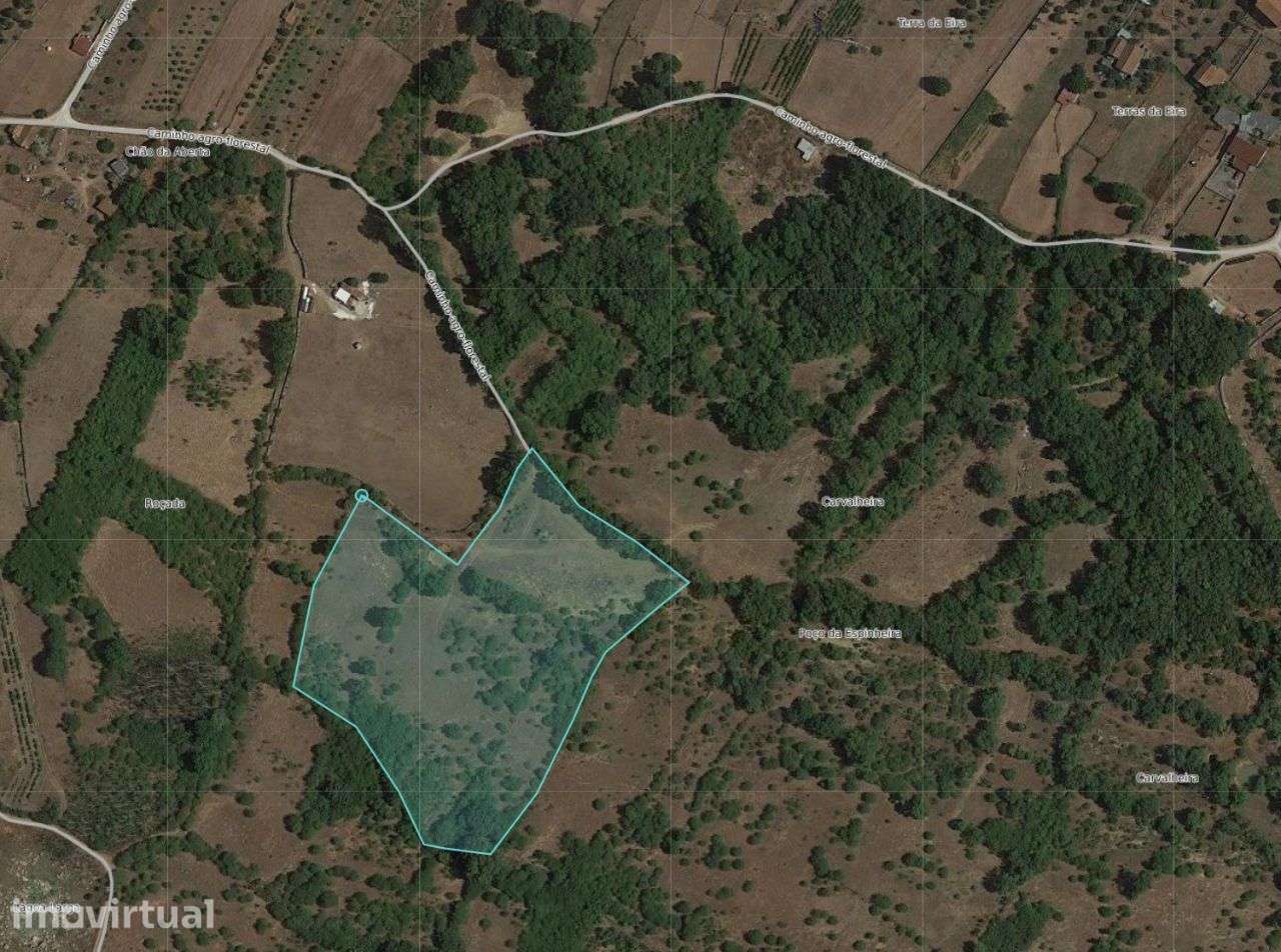 Terreno com 18280m2 em Mira de Aire - Grande imagem: 2/6