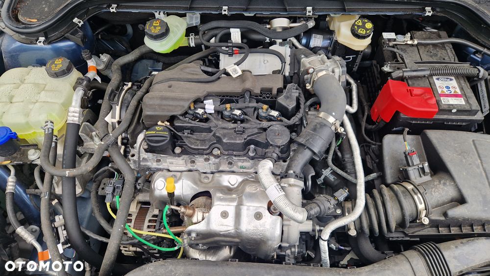 Ford Focus 1.5 EcoBlue Titanium - 30