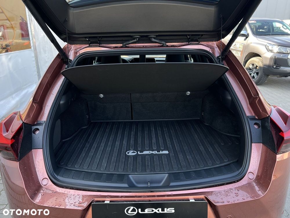 Lexus UX 300h F Sport Design - 19