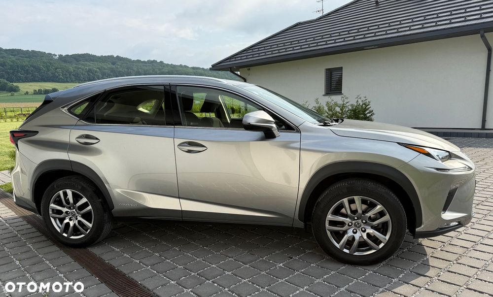 Lexus NX 350h Business AWD - 8