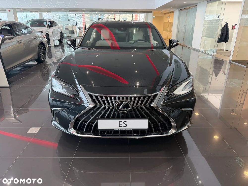 Lexus ES 300h Omotenashi - 3