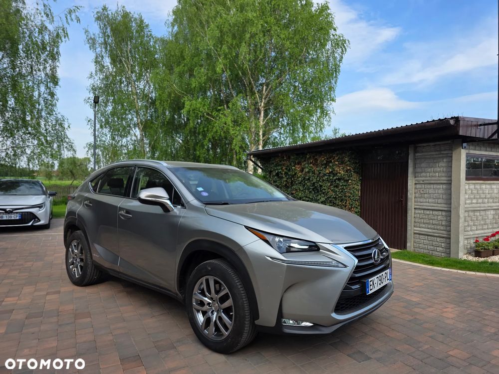 Lexus NX 300h - 2