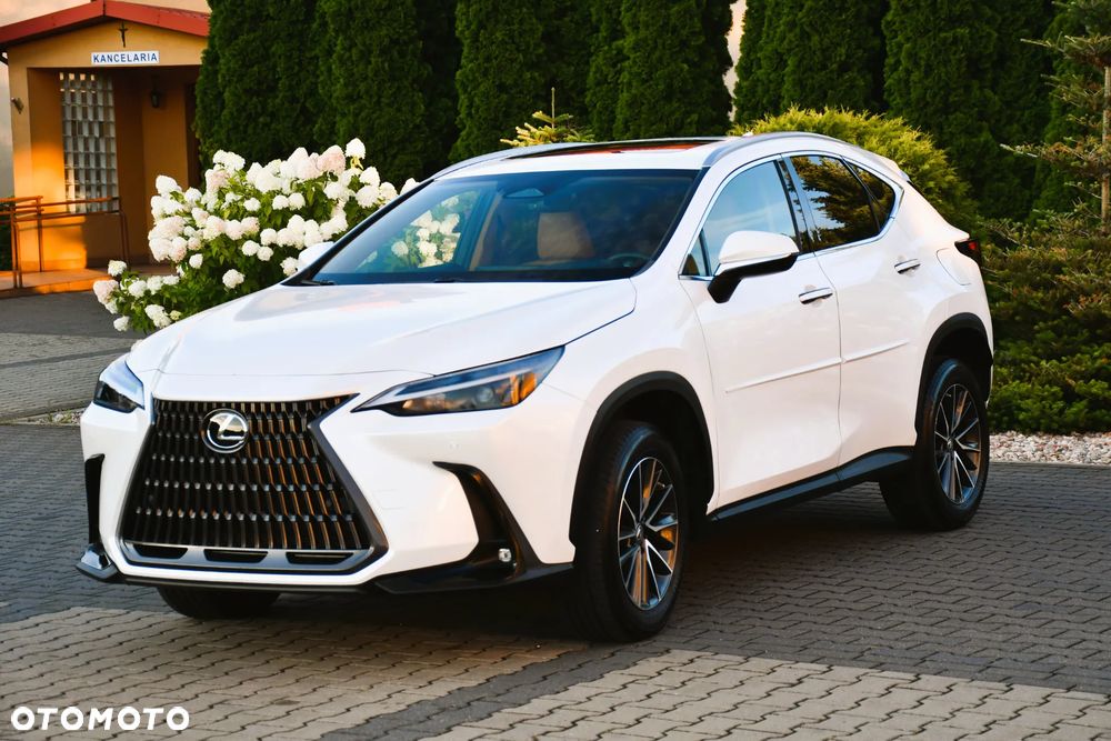 Lexus NX - 25