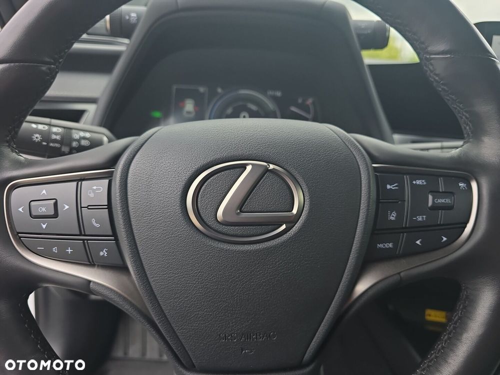 Lexus UX 250h GPF F Sport Design 2WD - 14