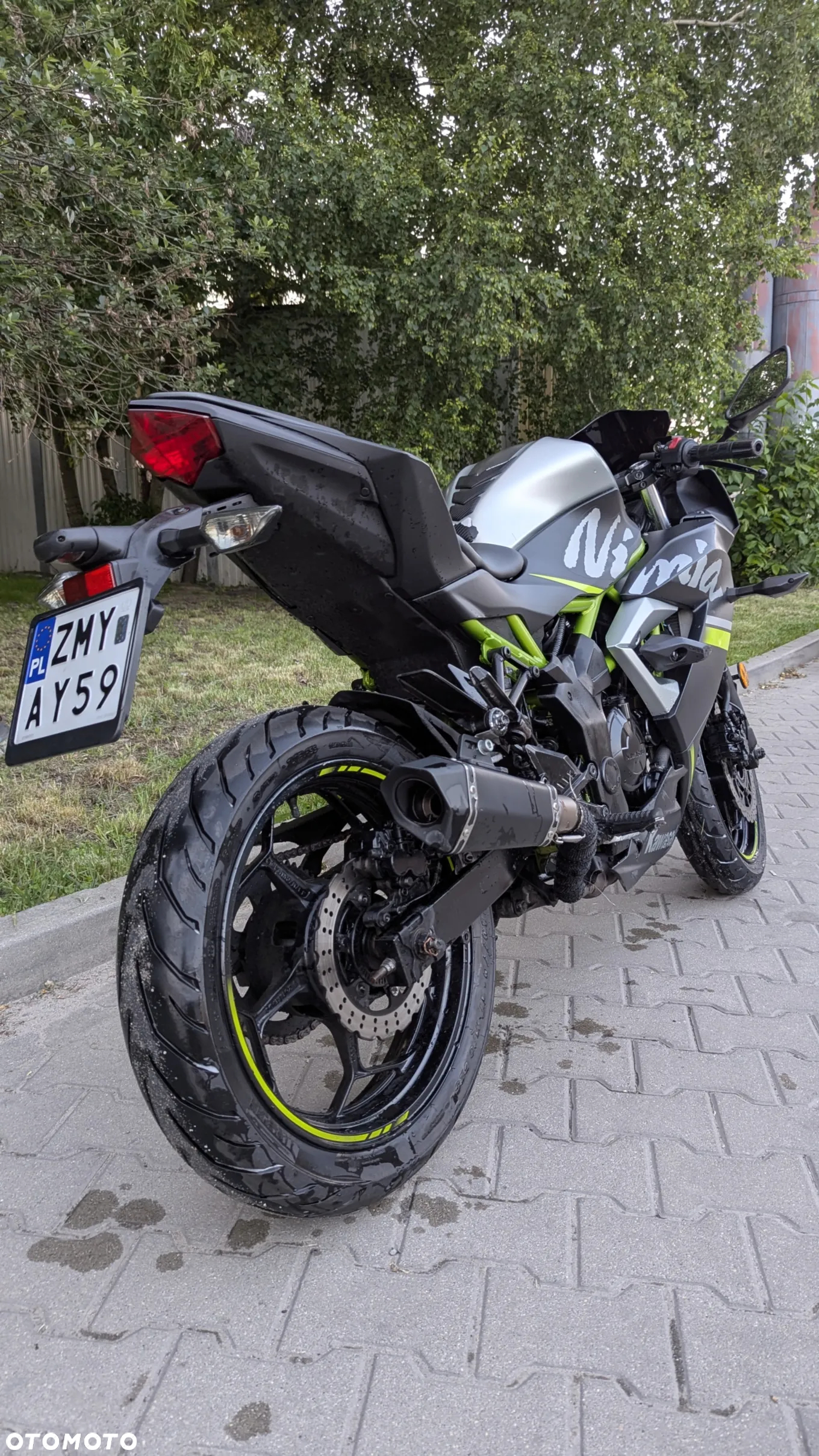 Kawasaki Ninja - 8