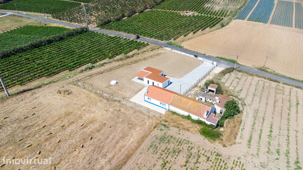 Quintinha c/Moradia T2, Anexos | lote 1.945,80 m² | S. Pedro Cadeira - Grande imagem: 5/44