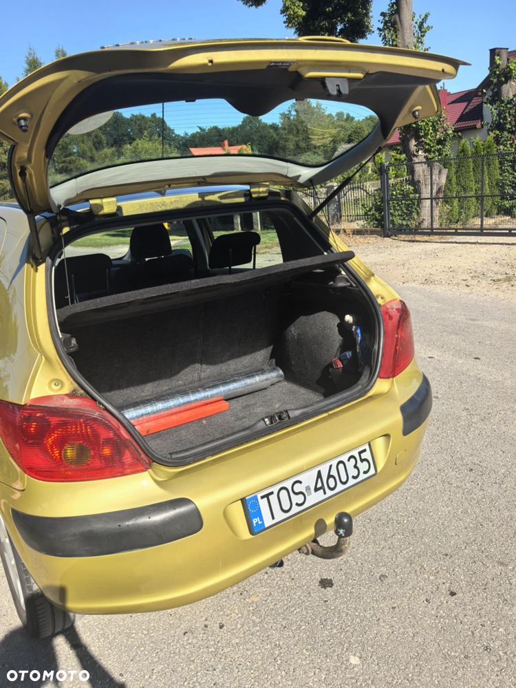 Peugeot 307 - 15