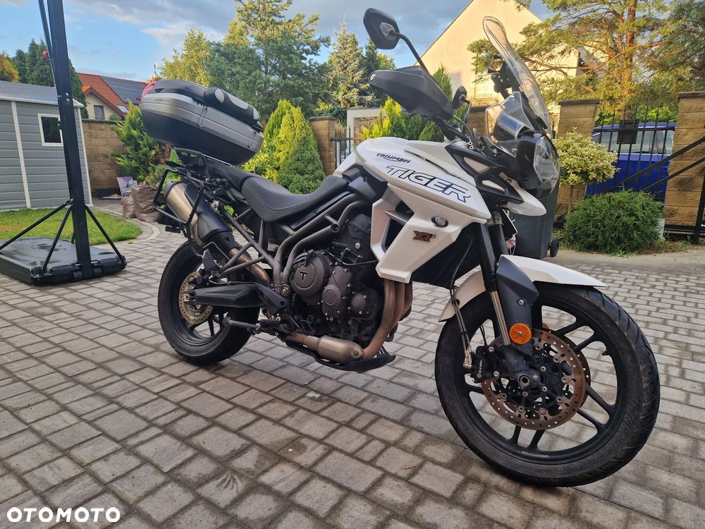 Triumph Tiger - 3