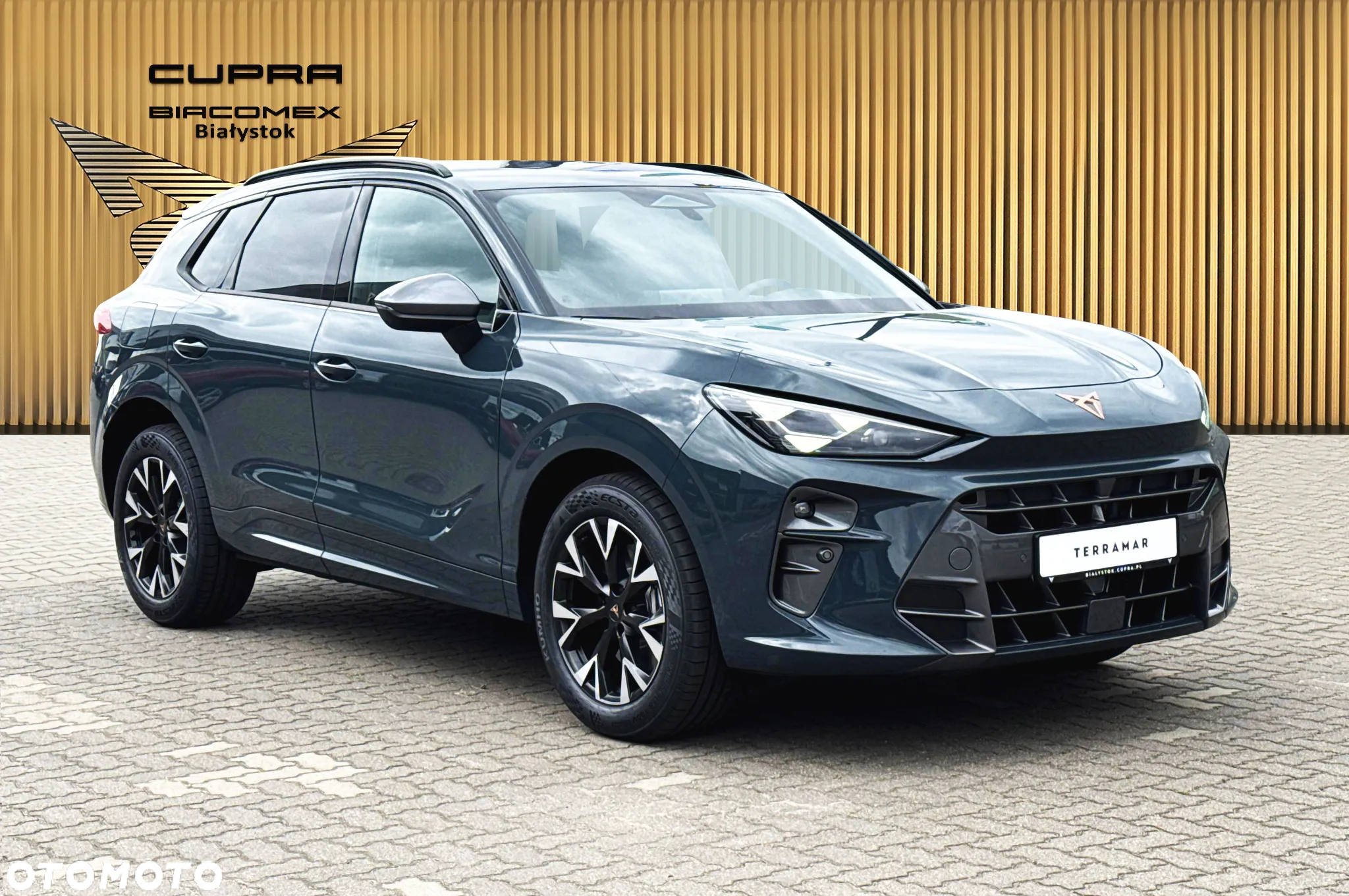 Cupra Terramar - 8