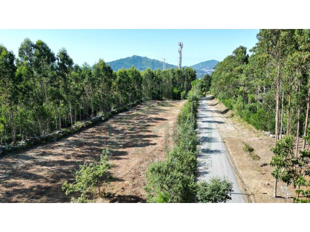 Terreno de construção, perto do Monte de Santo Antão! - Grande imagem: 3/10