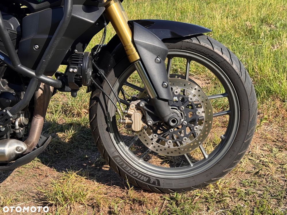 Triumph Tiger - 14