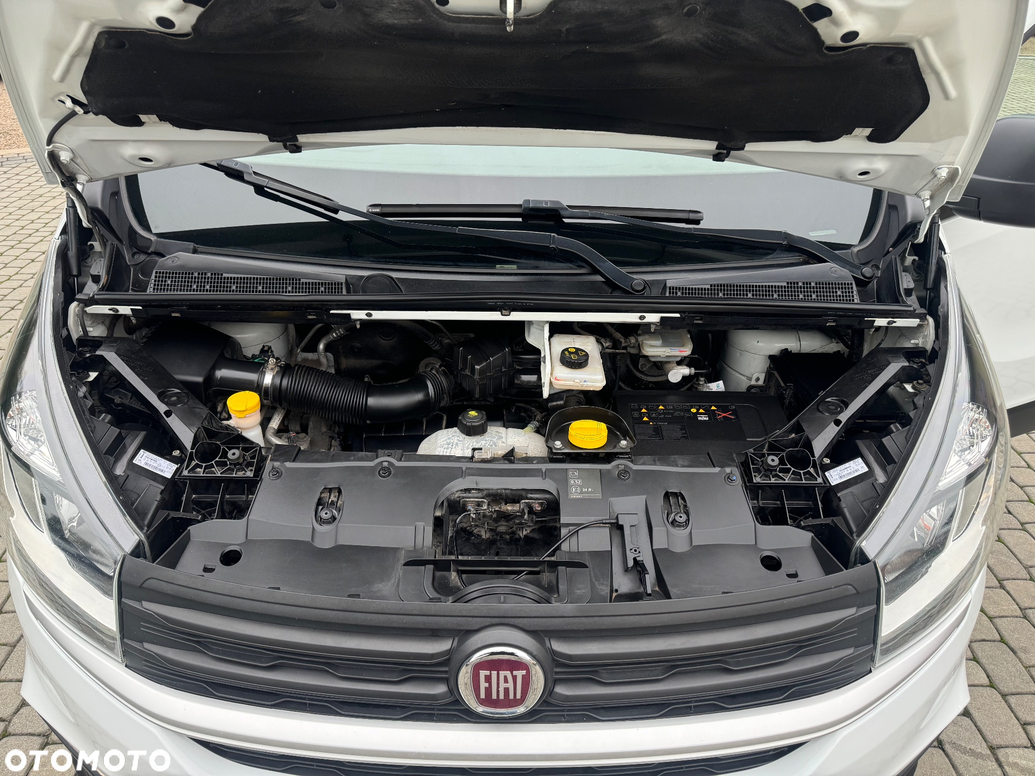 Fiat Talento - 24