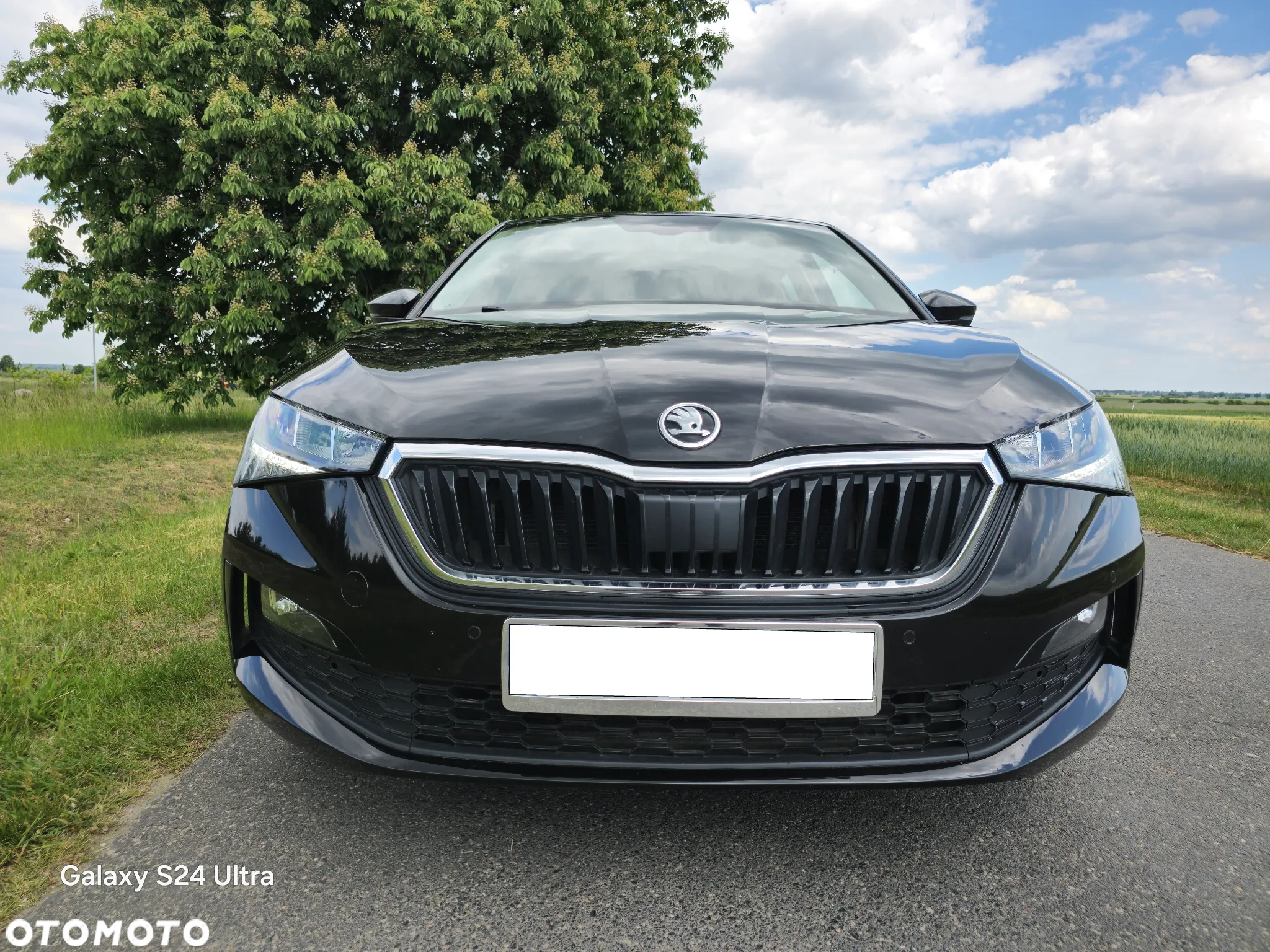 Skoda Scala 1.0 TSI Ambition DSG - 6