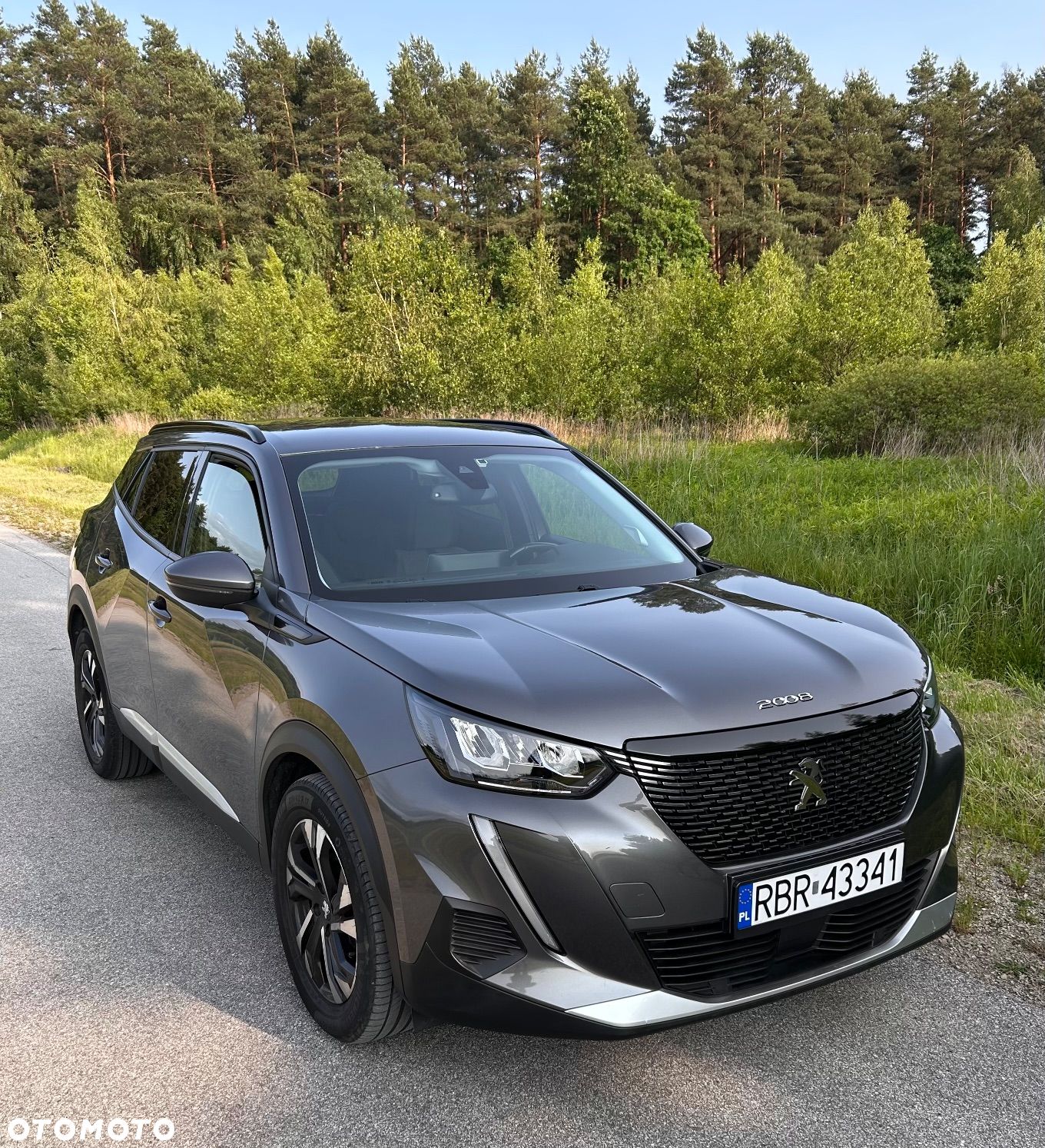 Peugeot 2008 - 1