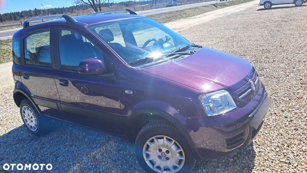 Fiat Panda 1.2 4x4 Adventure - 3