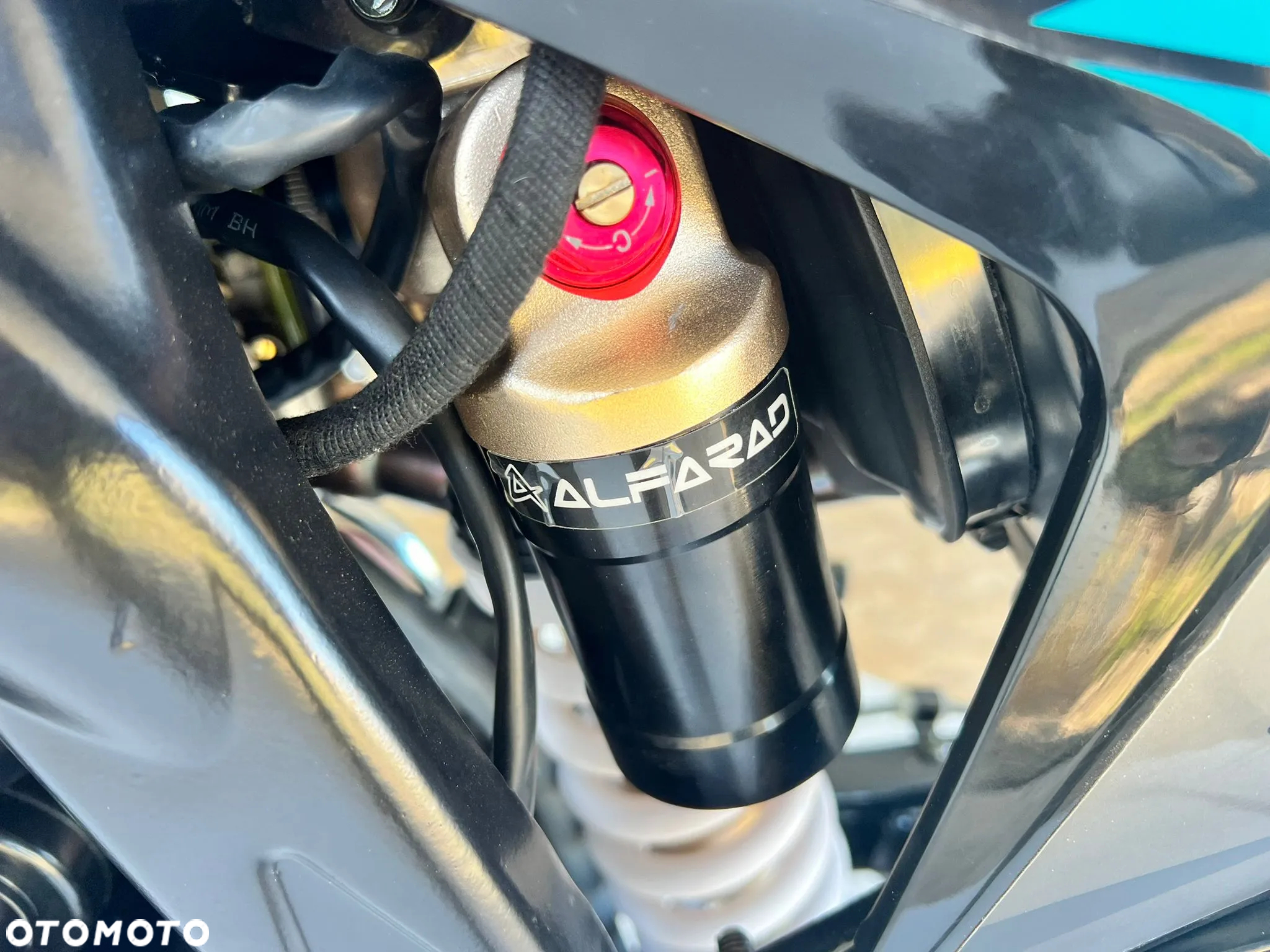 Alfarad Inny - 11