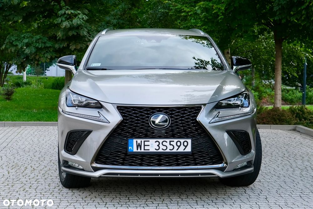 Lexus NX 300 GPF F Sport Edition AWD - 2