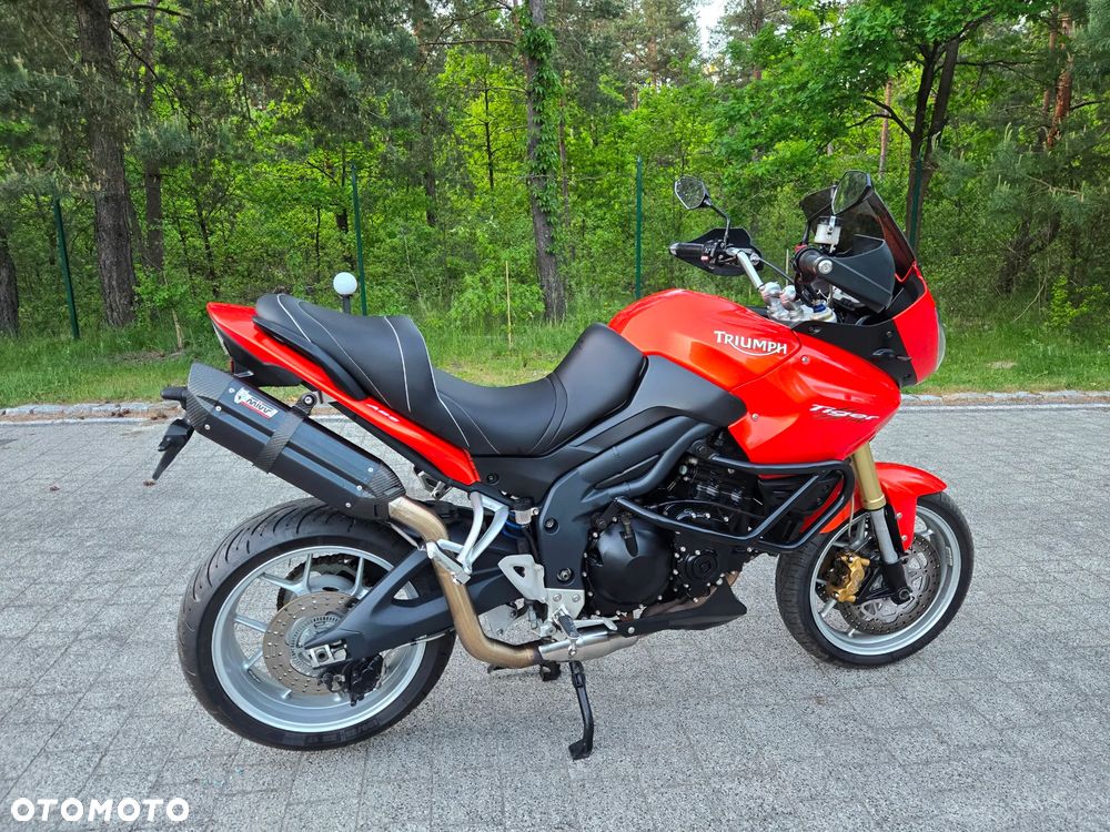 Triumph Tiger - 5