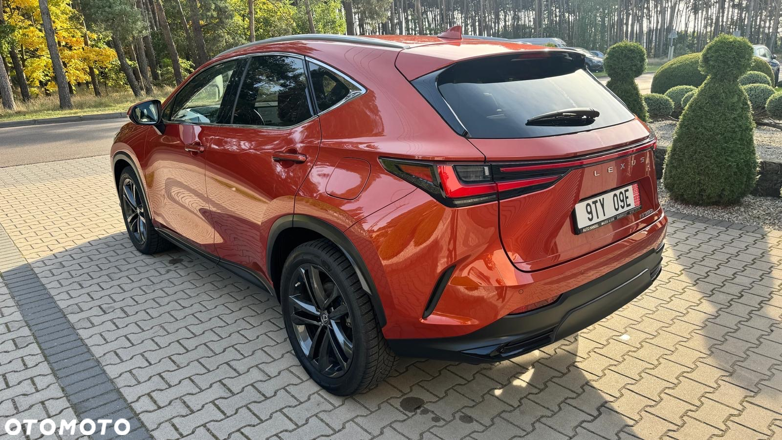 Lexus NX - 7