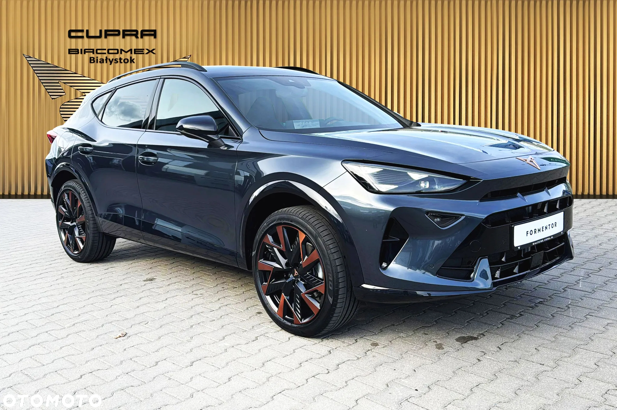 Cupra Formentor 2.0 TDI DSG - 8