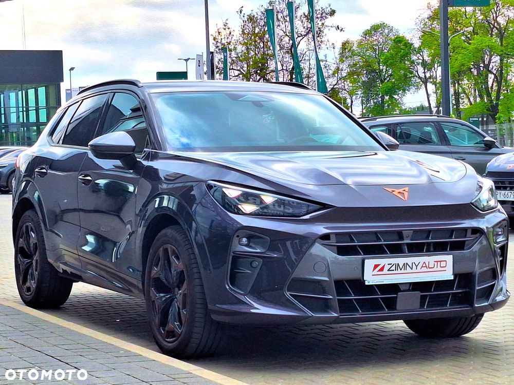 Cupra Terramar - 8