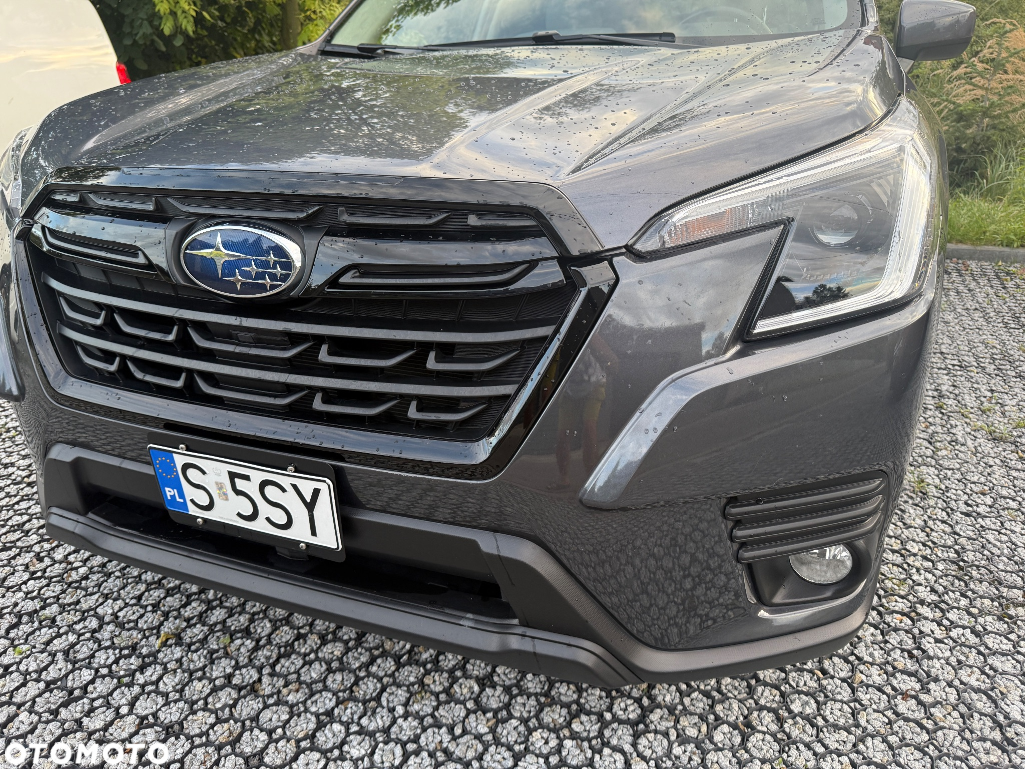 Subaru Forester - 3