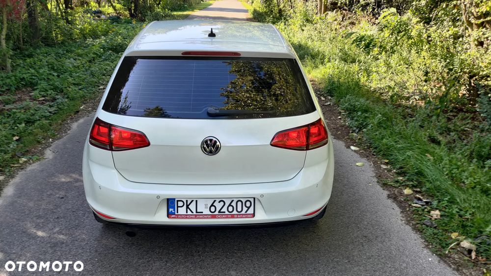 Volkswagen Golf 1.6 TDI BlueMotion Technology Cup - 10