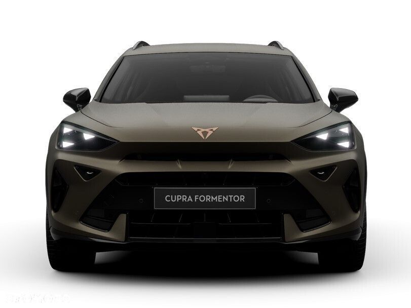 Cupra Formentor 2.0 TSI 4Drive DSG - 6