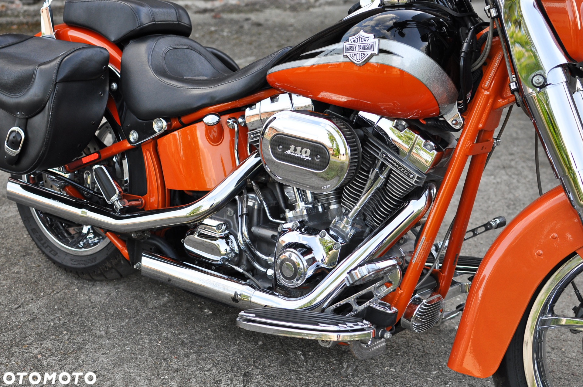 Harley-Davidson Softail - 8