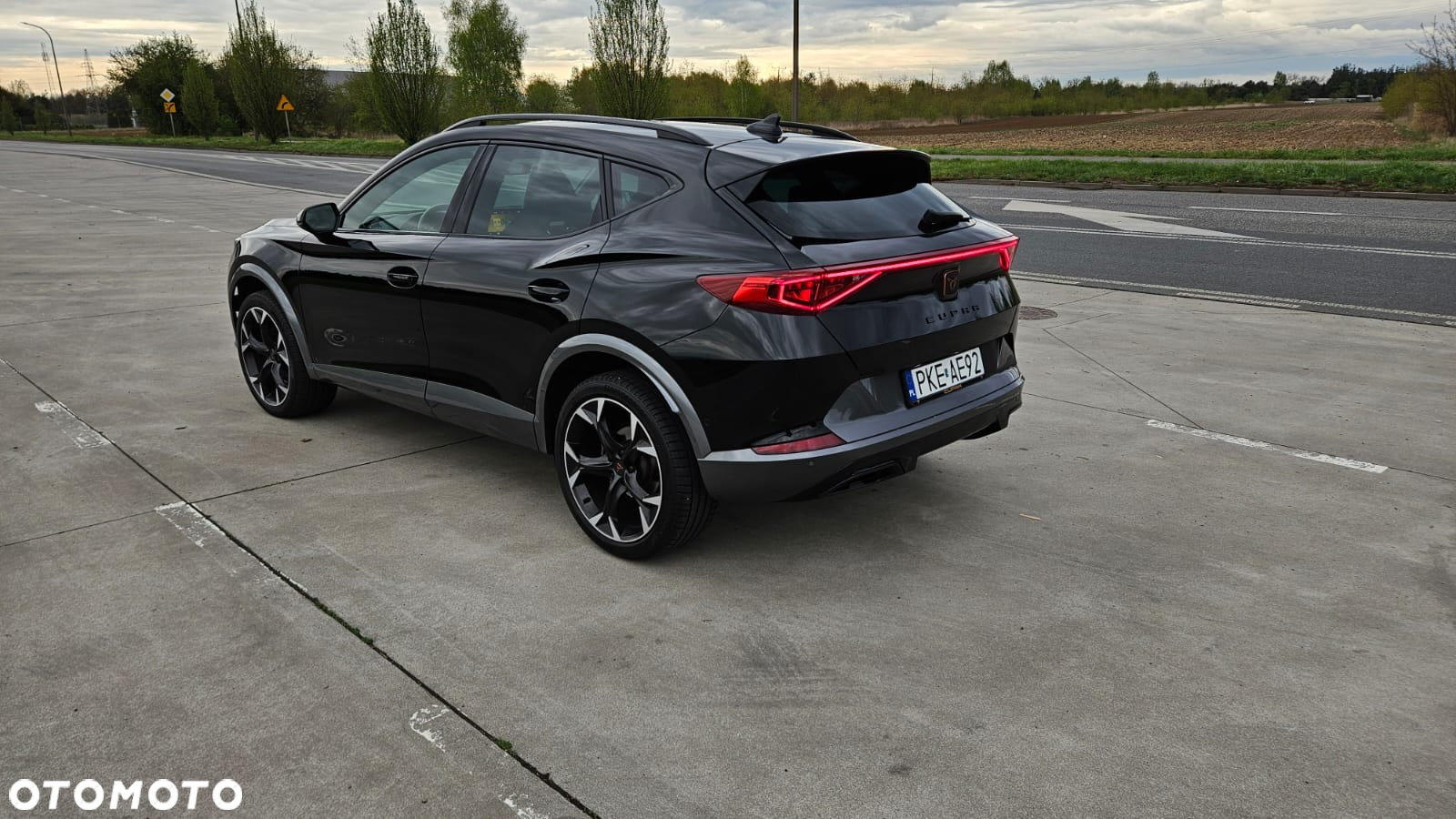 Cupra Formentor 2.0 TSI 4Drive DSG - 10