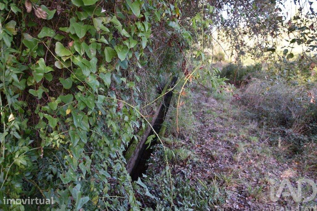 Terreno Agrícola em Freixianda, Ribeira do Fárrio e Formigais - Grande imagem: 4/40