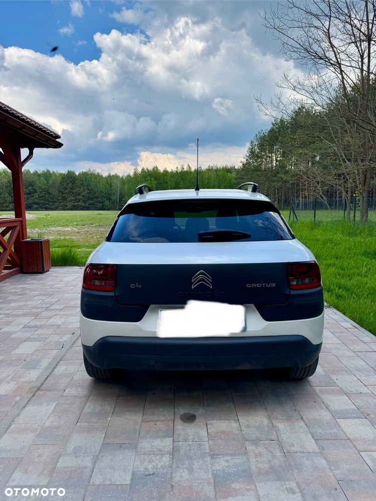 Citroën C4 Cactus 1.2 PureTech GPF Shine S&S - 4