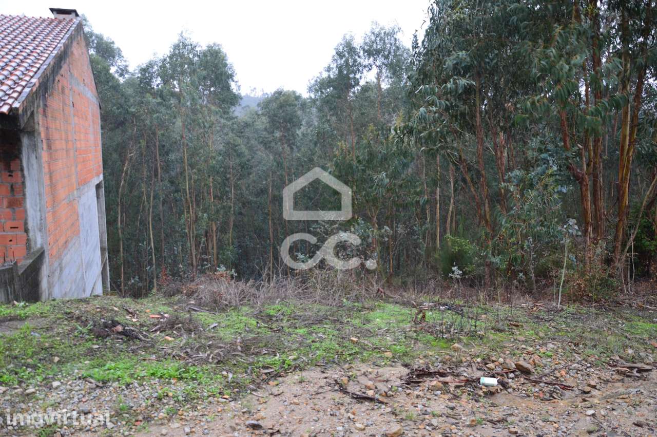 Terreno com zona de construção, Lagares e Figueira, Penafiel - Grande imagem: 5/5