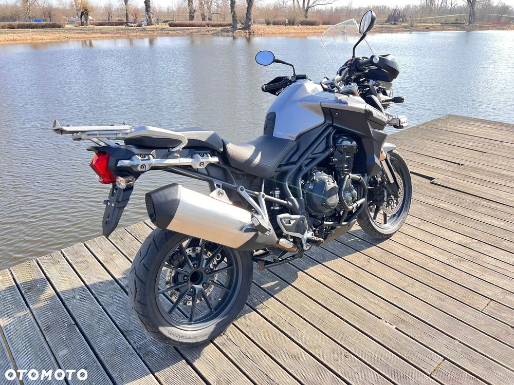 Triumph Tiger - 24