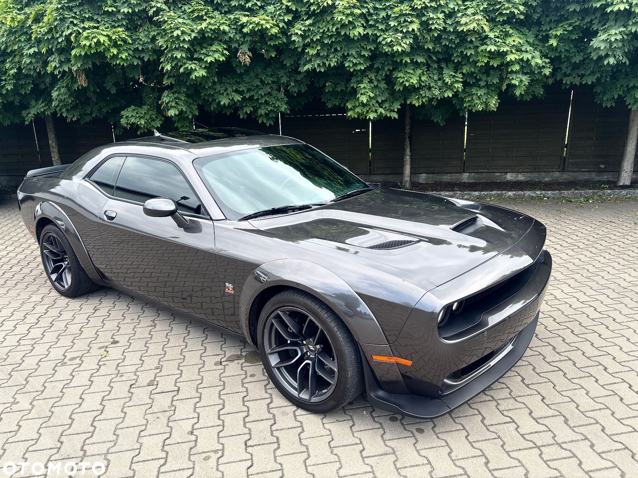 Dodge Challenger 6.4 Scat PackWidebody - 1