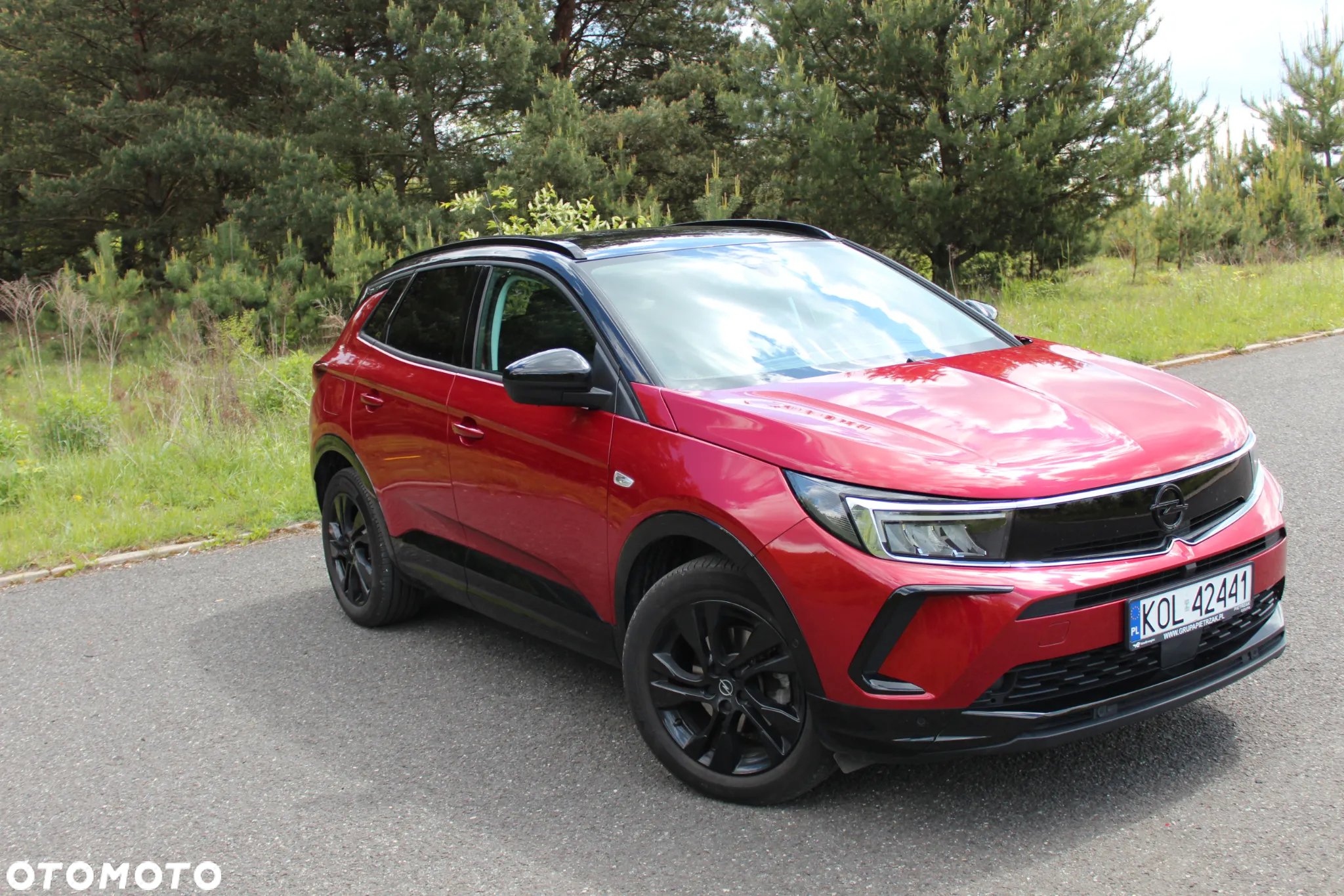 Opel Grandland 1.2 T GS S&S - 14