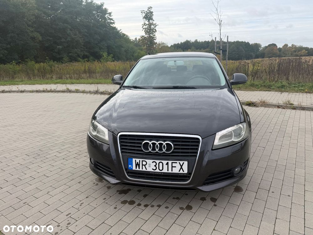 Audi A3 2009 photo 2